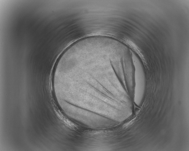 X0000071960892200608041616