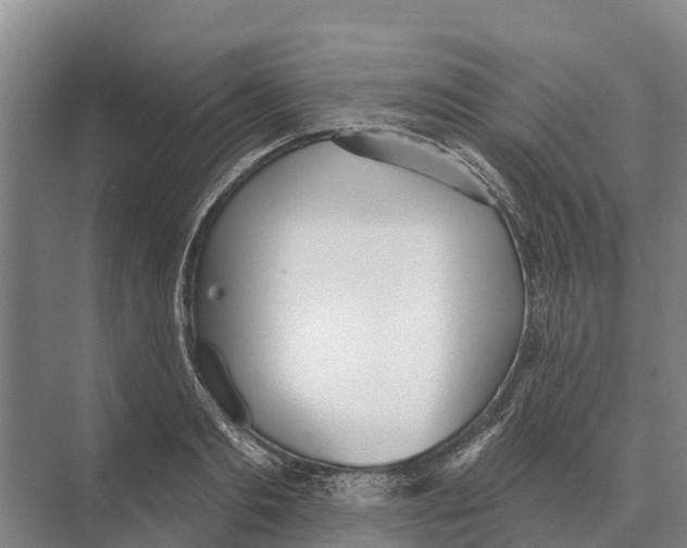 X0000071960893200608041616