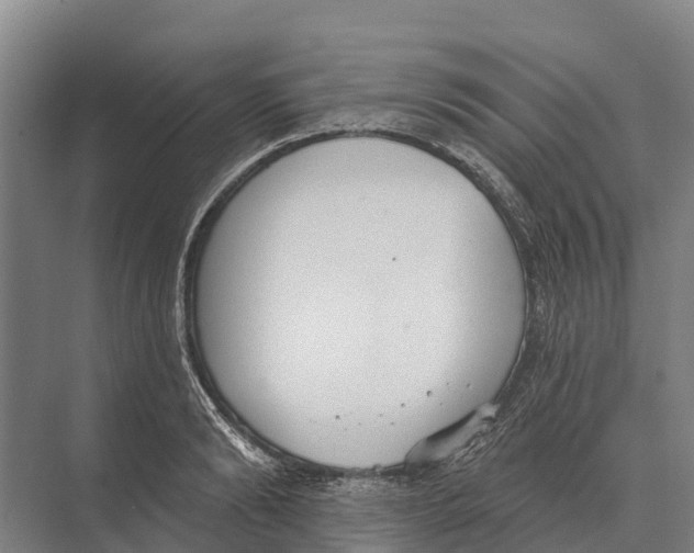 X0000071960894200608041616