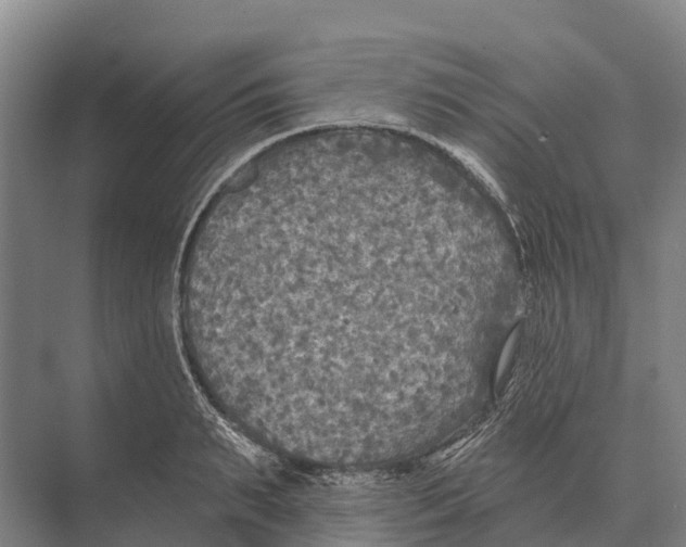 X0000071960895200608041616