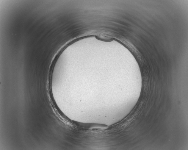 X0000071960896200608041616