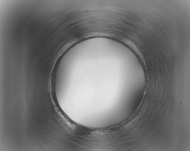 X0000071960898200608041616