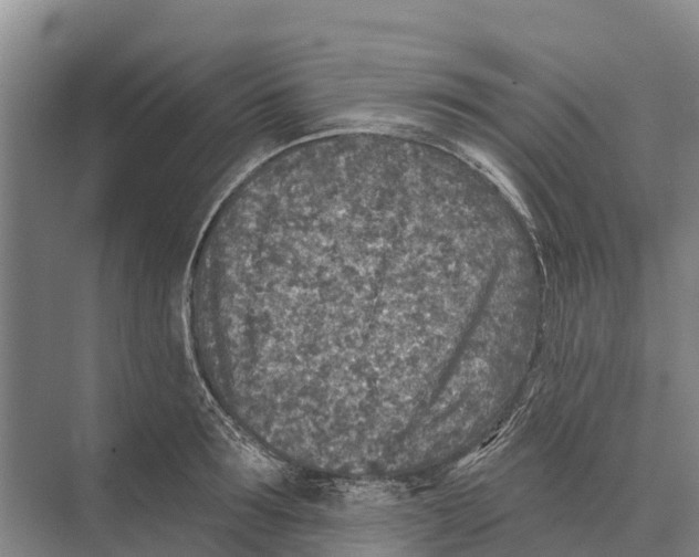 X0000071960899200608041616