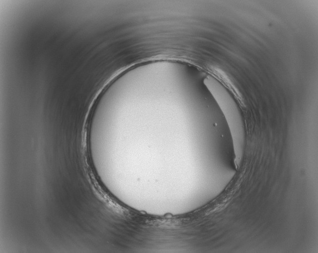 X0000071960900200608041616