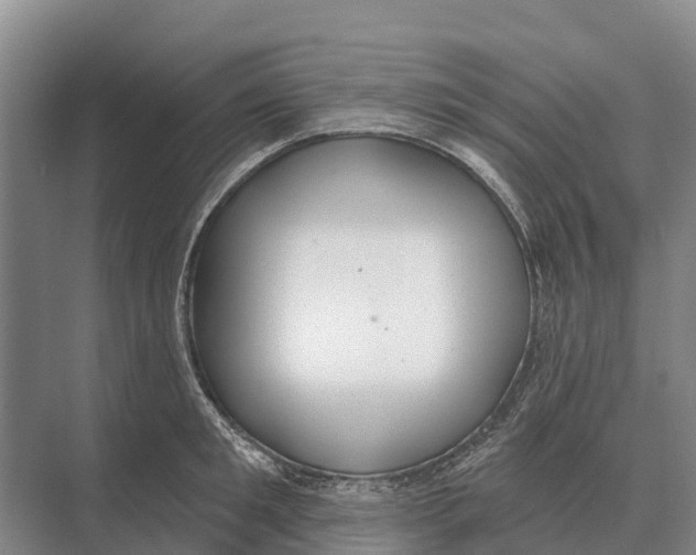 X0000071960901200608041616