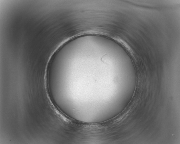 X0000071960902200608041616