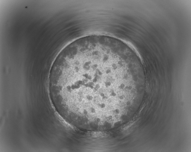 X0000071960903200608041616