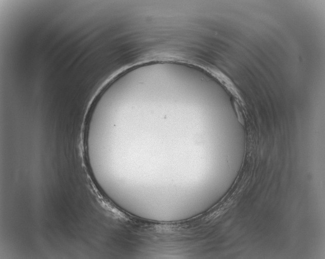 X0000071960904200608041616