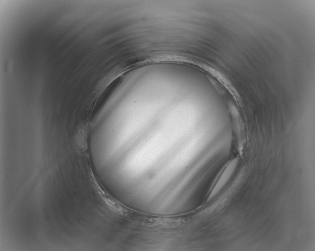 X0000071960905200608041616