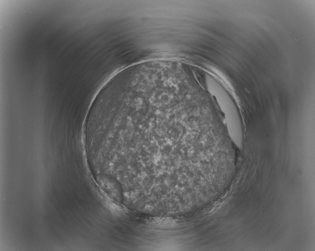 X0000071960907200608041616