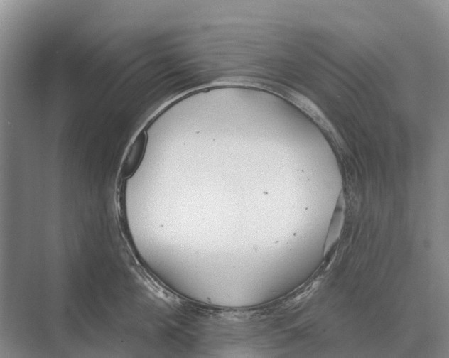 X0000071960908200608041616