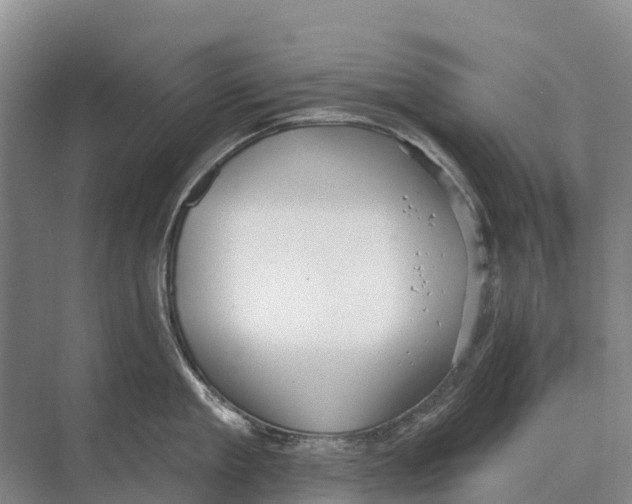 X0000071960909200608041616