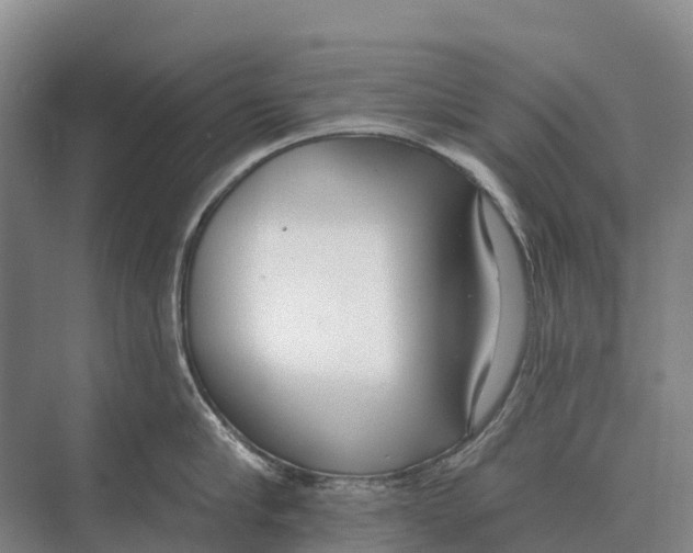 X0000071960910200608041616