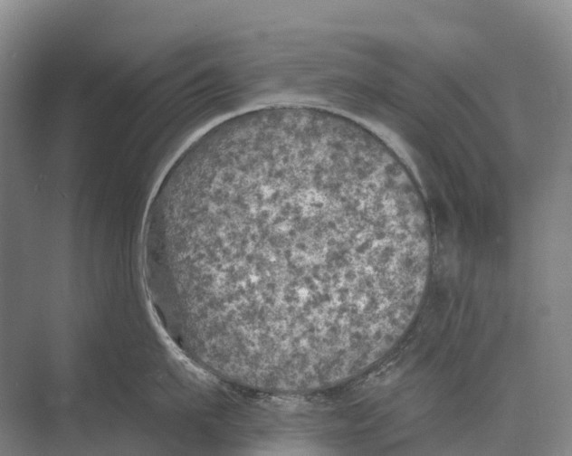 X0000071960911200608041616