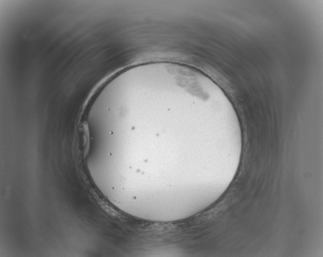 X0000071960912200608041616