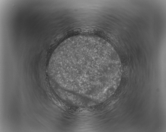 X0000071960913200608041615