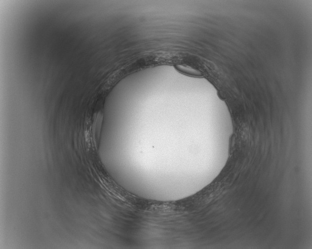 X0000071960914200608041615