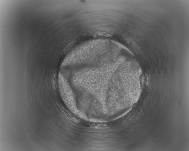 X0000071960915200608041615