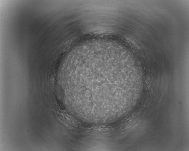 X0000071960917200608041615