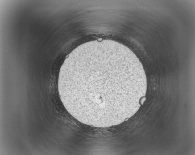 X0000071960918200608041615