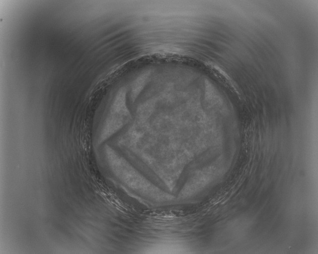 X0000071960919200608041615