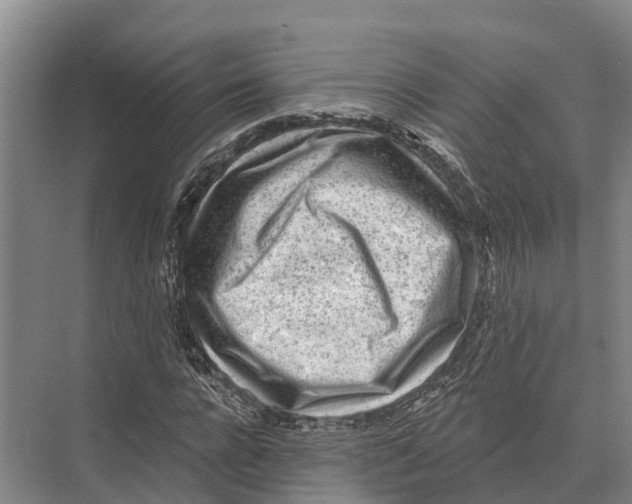 X0000071960920200608041615