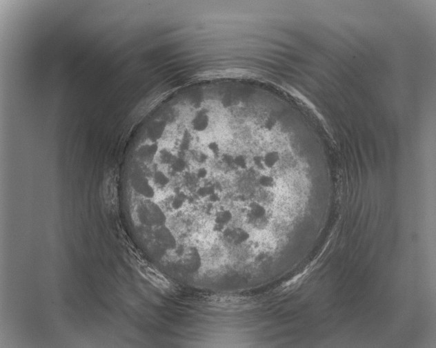 X0000071960921200608041615