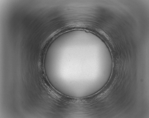 X0000071960922200608041615