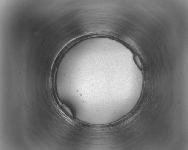 X0000071960924200608041615