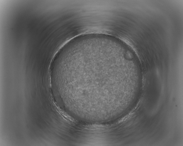 X0000071960925200608041615