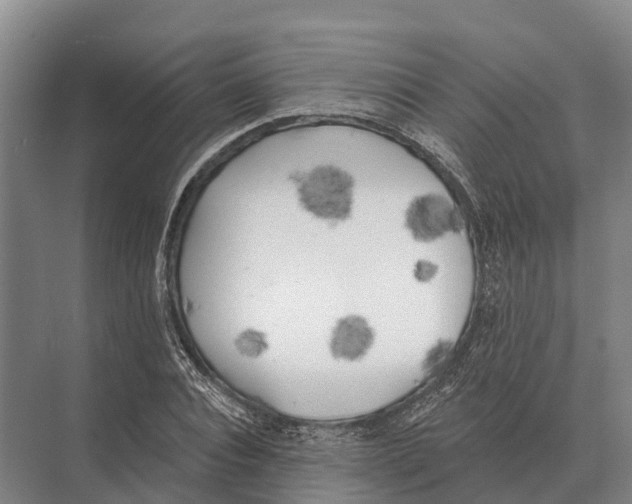 X0000071960928200608041615