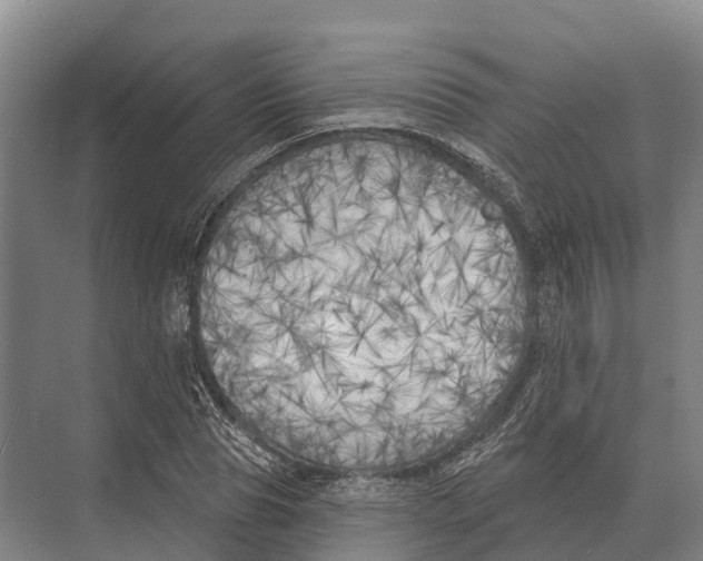 X0000071960929200608041615