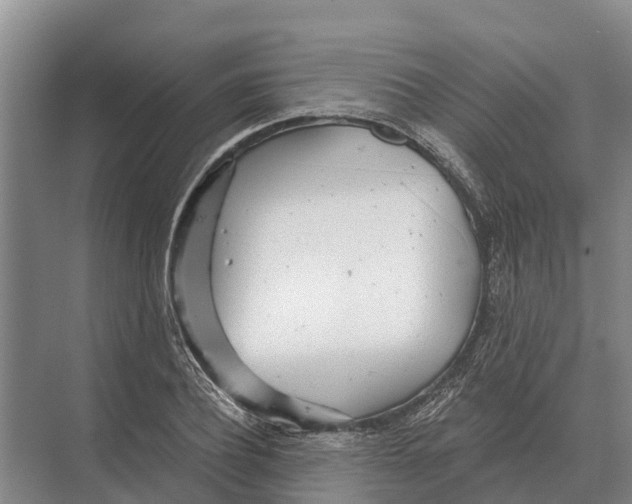 X0000071960932200608041615