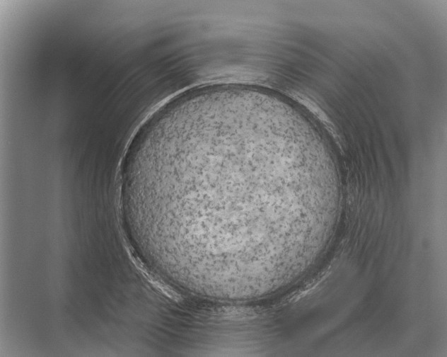 X0000071960933200608041615