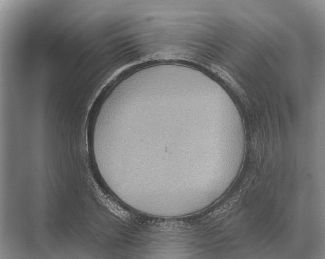 X0000071960934200608041615