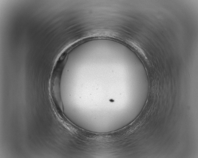 X0000071960936200608041615