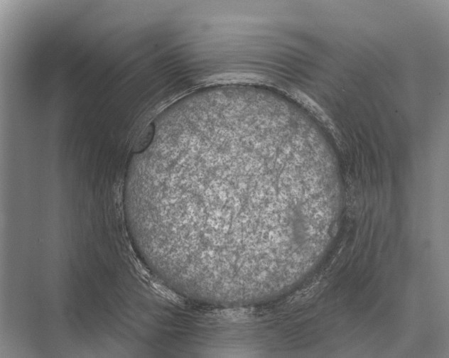 X0000071960937200608041615