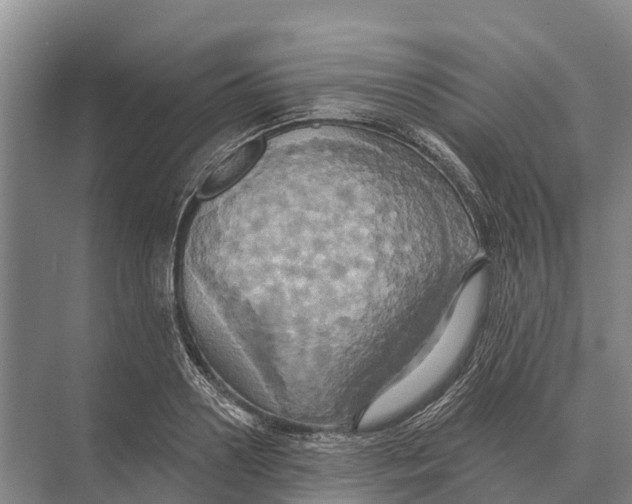 X0000071960938200608041615