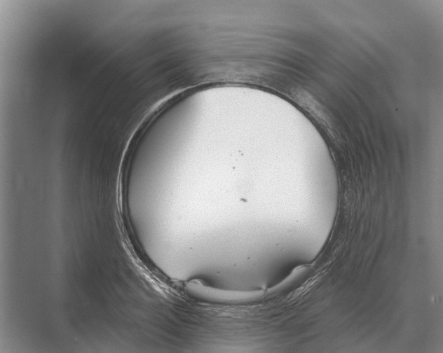 X0000071960940200608041615