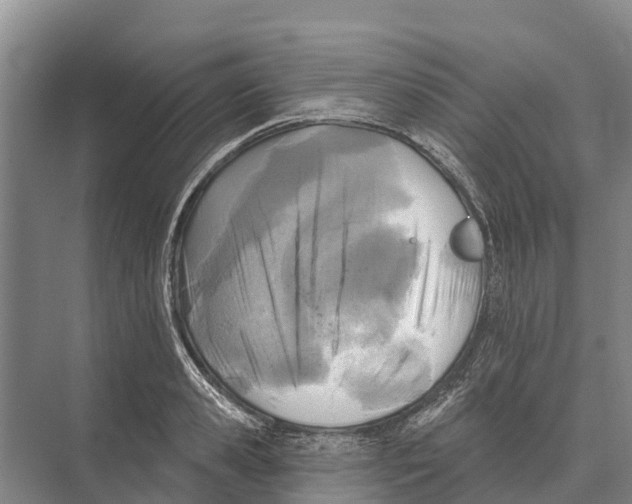 X0000071960941200608041615