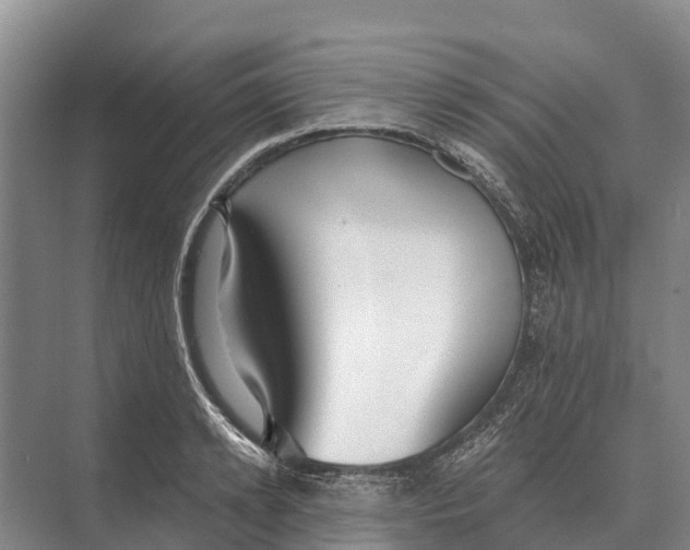 X0000071960942200608041615