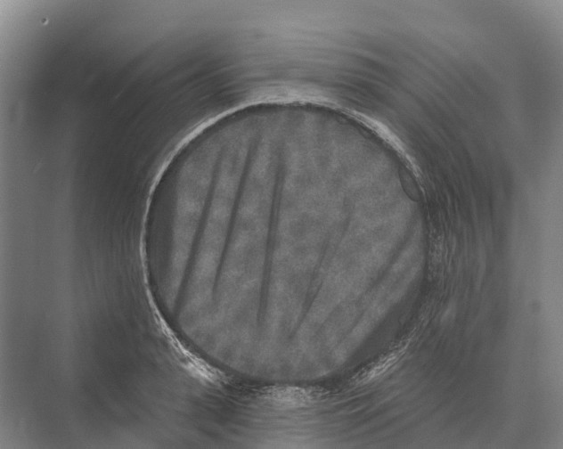 X0000071960943200608041615