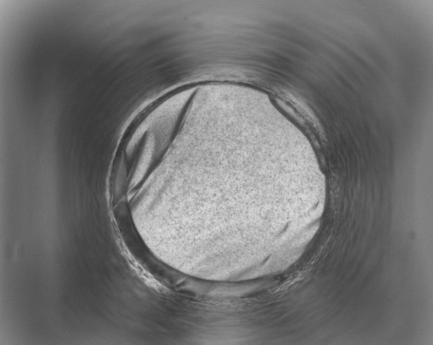 X0000071960944200608041615