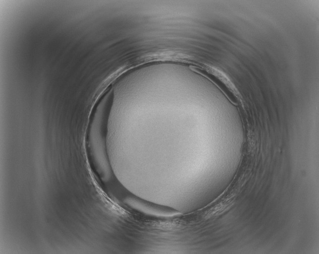 X0000071960946200608041615