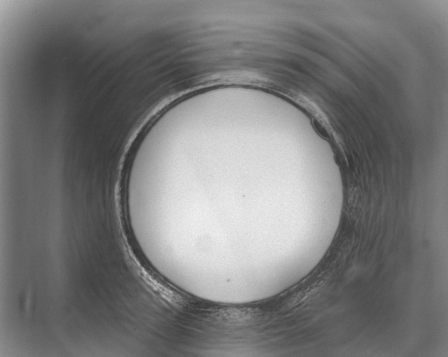 X0000071960947200608041616