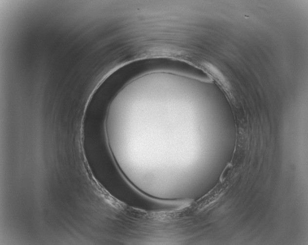 X0000071960948200608041616