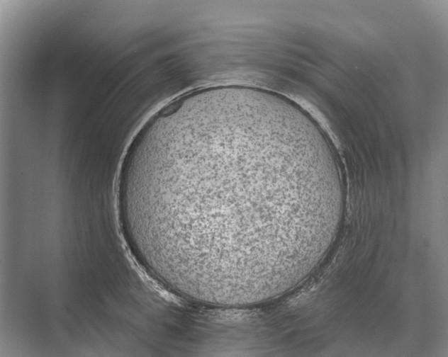 X0000071960949200608041616