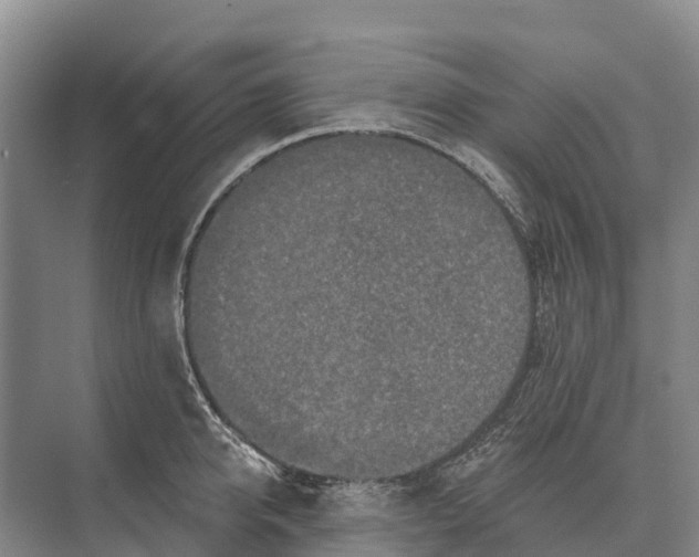 X0000071960950200608041616