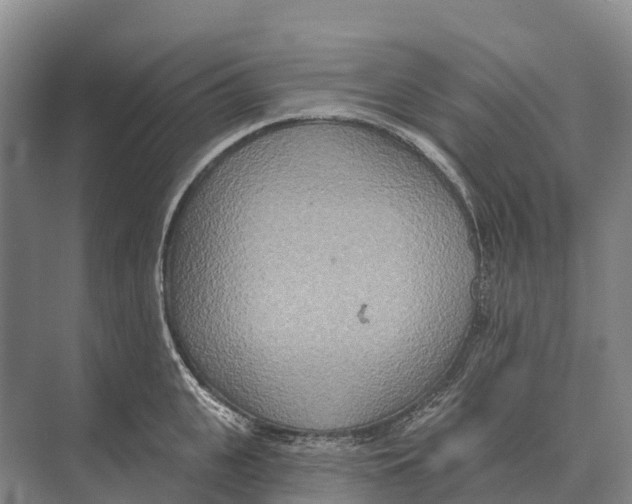 X0000071960951200608041616