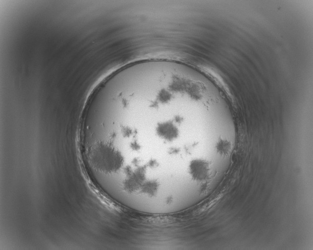 X0000071960952200608041616